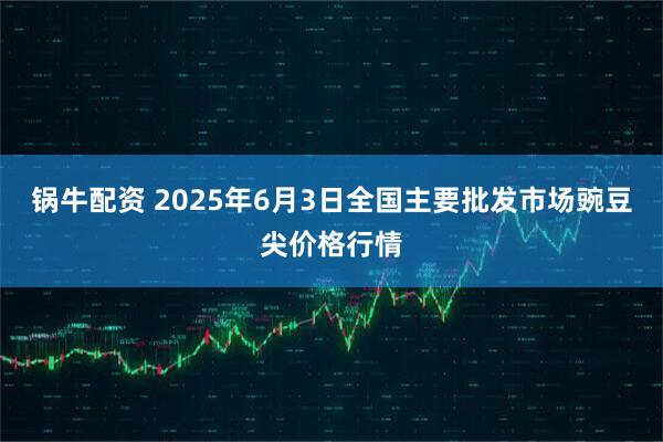 锅牛配资 2025年6月3日全国主要批发市场豌豆尖价格行情