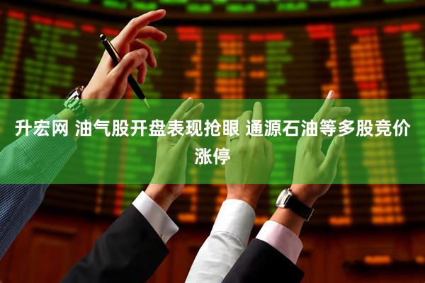 升宏网 油气股开盘表现抢眼 通源石油等多股竞价涨停